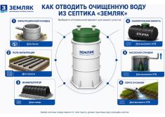Зорде Рейн 5 Миди